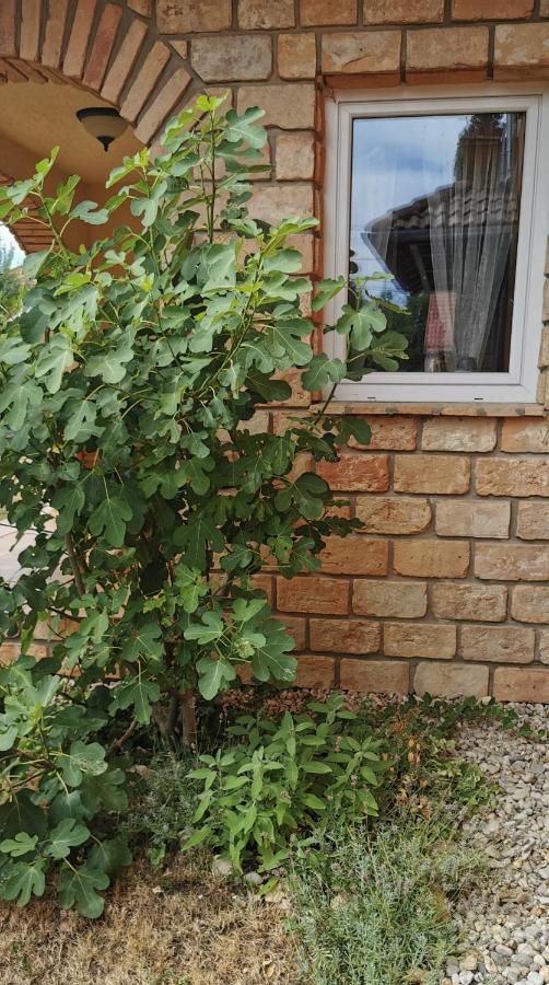 Mediterrania Apartment Кестели Екстериор снимка